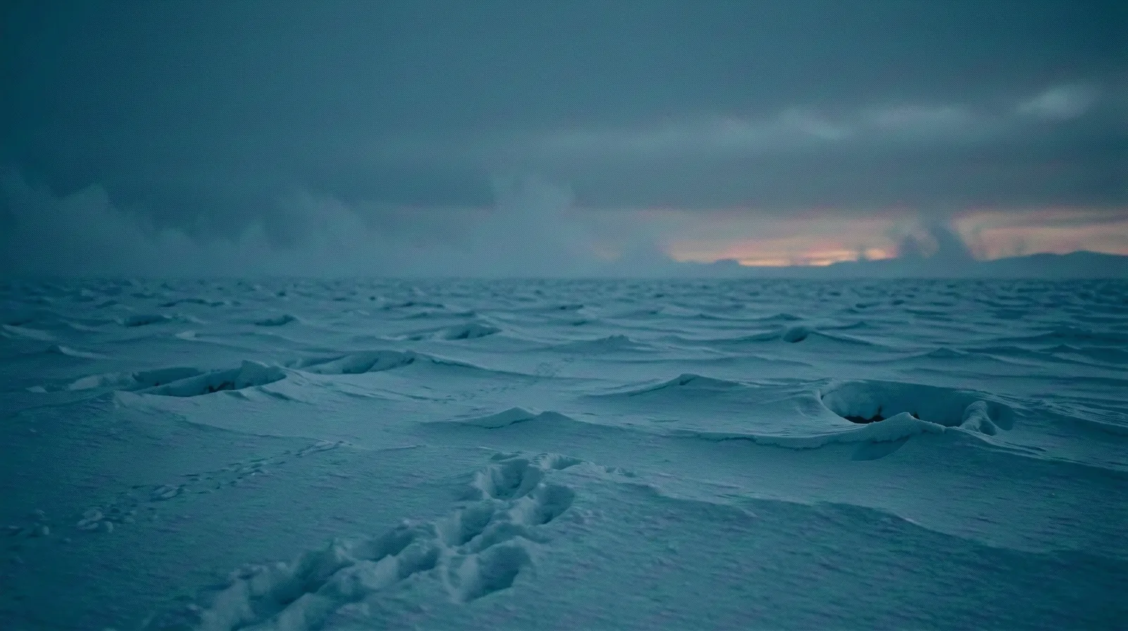 A frozen horizon at twilight representing data transparency and clarity.